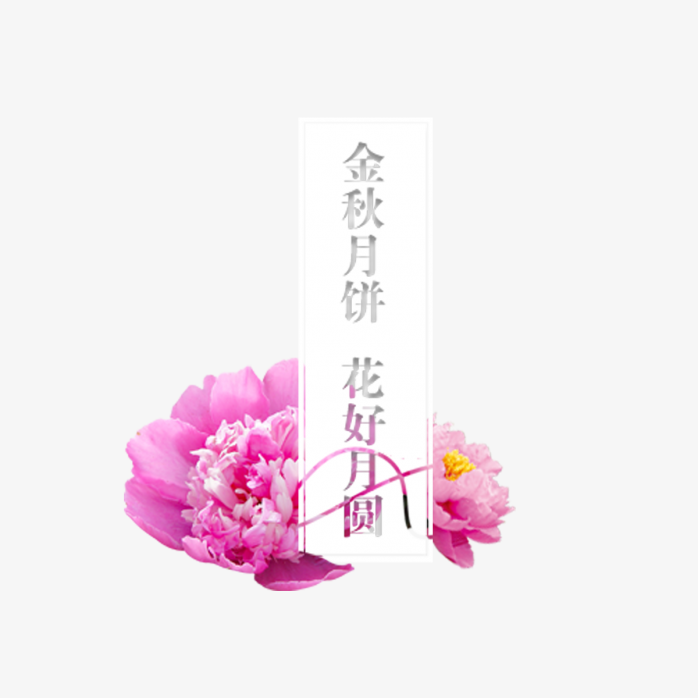 中秋节素材