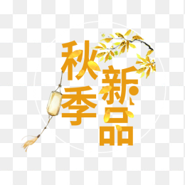 秋季上新品