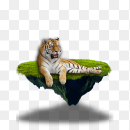 老虎素材
