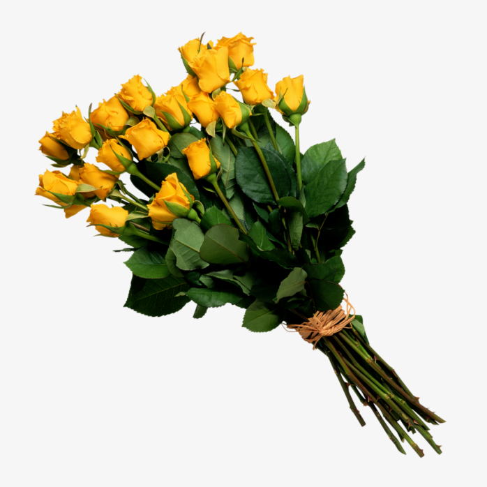 鲜花花卉免抠图