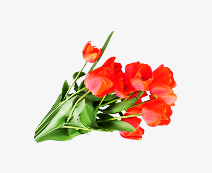 鲜花花卉免抠