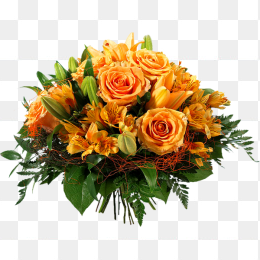 鲜花花卉免抠图