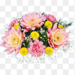 鲜花花卉免抠图