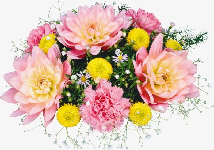 鲜花花卉免抠图