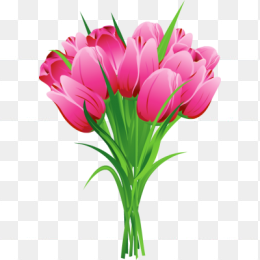 鲜花花卉免抠图
