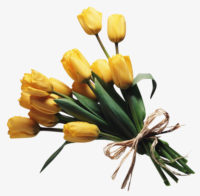 鲜花花卉免抠图