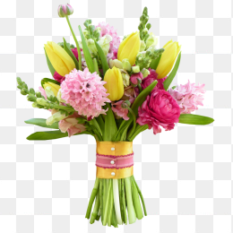 鲜花花卉免抠图