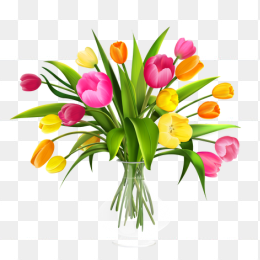 鲜花花卉免抠