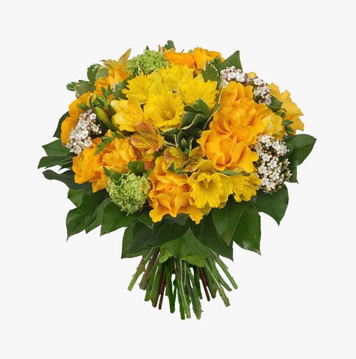 鲜花花卉免抠