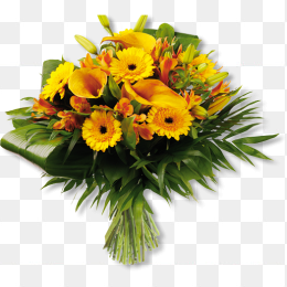 鲜花花卉免抠图