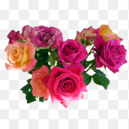 鲜花花卉免抠图