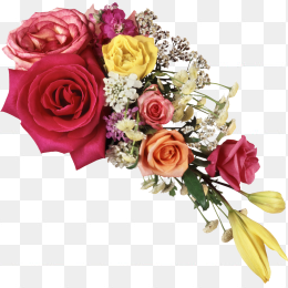 鲜花花卉免抠