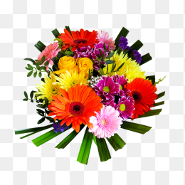 鲜花花卉免抠图