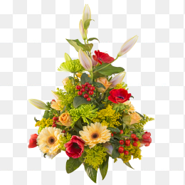 鲜花花卉免抠图