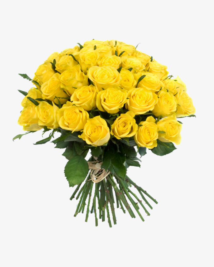 鲜花花卉免抠图