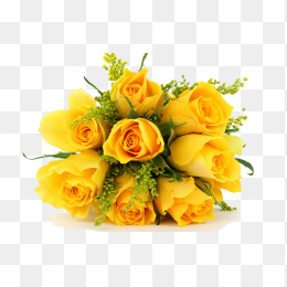 鲜花花卉免抠图