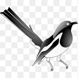 卡通黑白小鸟