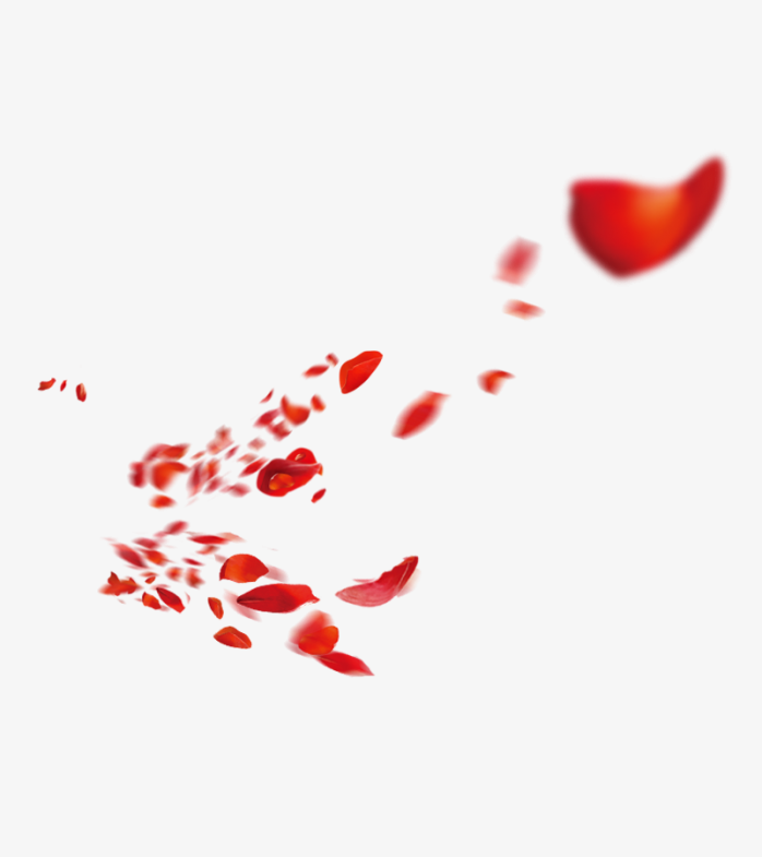 漂浮玫瑰花瓣素材