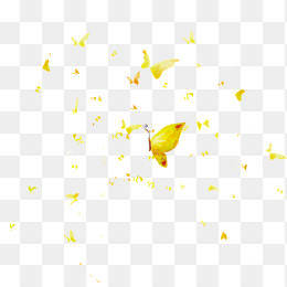 漂浮蝴蝶装饰素材免抠