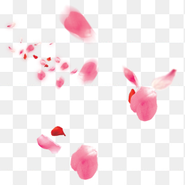 漂浮花瓣装饰素材免抠