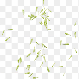 漂浮竹子免抠图标下载