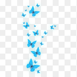 漂浮元素免抠背景蝴蝶