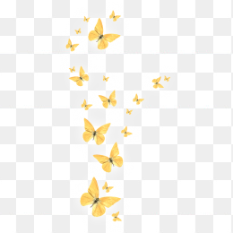 漂浮元素免抠背景黄蝴蝶