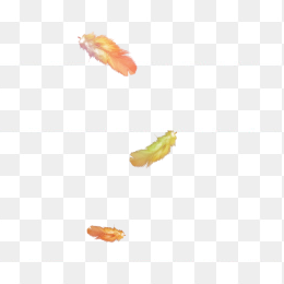 漂浮元素免抠背景落叶