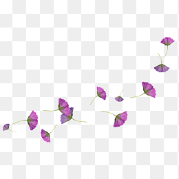 漂浮元素免抠背景蒲公英