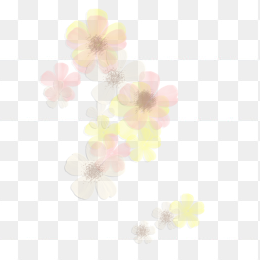 漂浮花瓣元素免抠下载