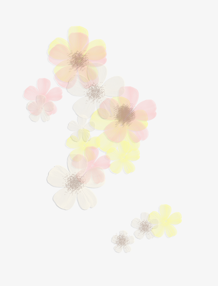 漂浮花瓣元素免抠下载