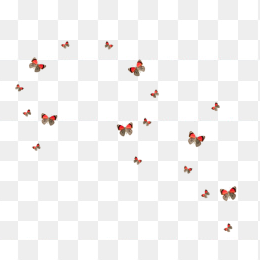 漂浮蝴蝶免抠下载