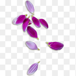 漂浮装饰品点缀素材下载