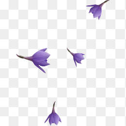 漂浮装饰品点缀素材图形