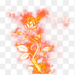 特效火焰免抠素材花