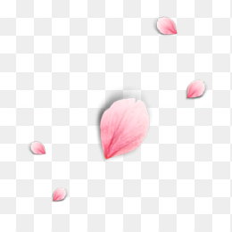 装饰点缀漂浮PNG花瓣