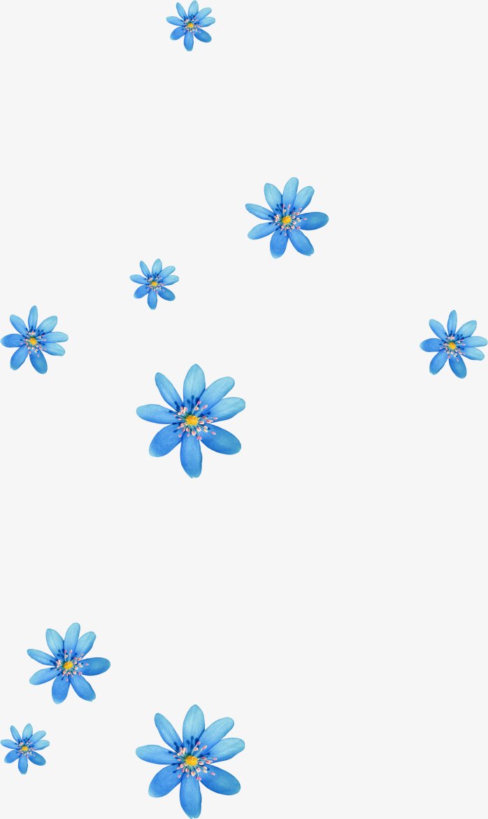 蓝花漂浮PNG免抠