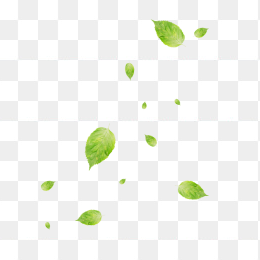 漂浮点缀树叶装饰下载