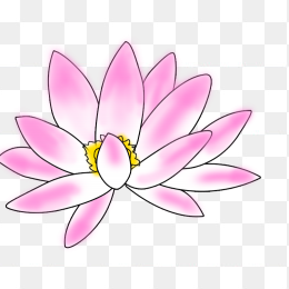 卡通荷花花瓣