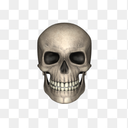 骷髅骨头