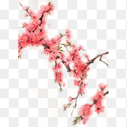 手绘水彩古风花朵图