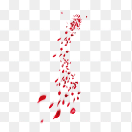 漂浮红色玫瑰花花瓣