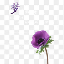 梦里水乡海报字体排版