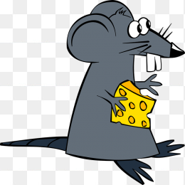 灰色老鼠吃东西
