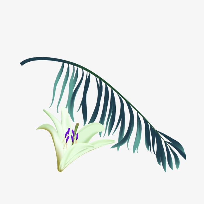 兰花