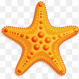 卡通海星