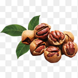 核桃