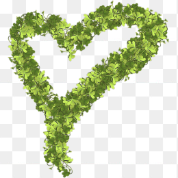 树叶组成心形