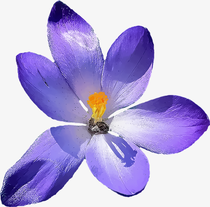紫色梦幻花朵素材