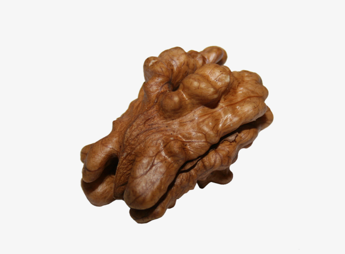 一颗核桃仁